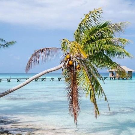 Sunset Hill Lodge Bora Bora Buitenkant foto